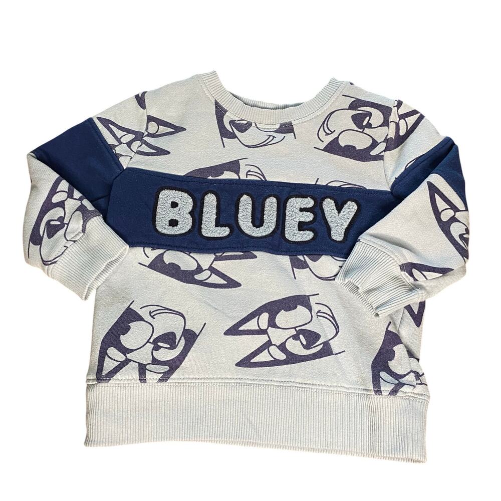 Bluey light blue graphic textured lettering crew sweatshirt SIZE 2T‎